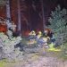 Palancares, Almiruete, La Mierla y Muriel ya pueden volver a casa tras el incendio forestal de La Mierla Palancares, Almiruete, La Mierla y Muriel ya pueden volver a casa tras el incendio forestal de La Mierla