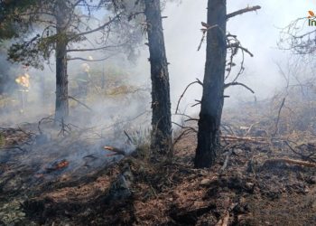 Robledillo, Selas y La Mierla, declaradas zonas de emergencia tras los grandes incendios Robledillo, Selas y La Mierla, declaradas zonas de emergencia tras los grandes incendios