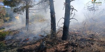 Robledillo, Selas y La Mierla, declaradas zonas de emergencia tras los grandes incendios