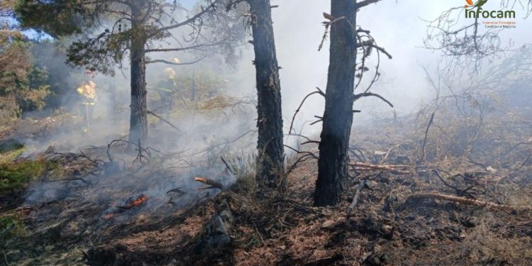 Robledillo, Selas y La Mierla, declaradas zonas de emergencia tras los grandes incendios