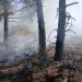 Robledillo, Selas y La Mierla, declaradas zonas de emergencia tras los grandes incendios