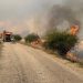 Seis bomberos de Cuenca defienden pueblos y granjas en el grave incendio forestal de Guadalajara Seis bomberos de Cuenca defienden pueblos y granjas en el grave incendio forestal de Guadalajara