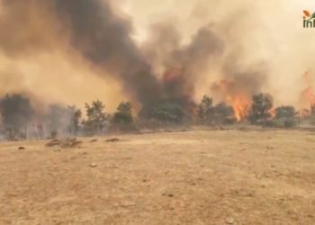 Ujados, La Miñosa, Albendiego y Cañamares, confinados por el incendio de La Mierla que ya arrasa 16.000 hectáreas
