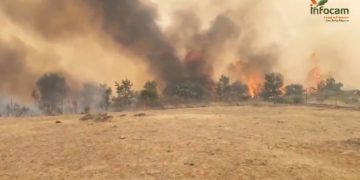 Ujados, La Miñosa, Albendiego y Cañamares, confinados por el incendio de La Mierla que ya arrasa 16.000 hectáreas