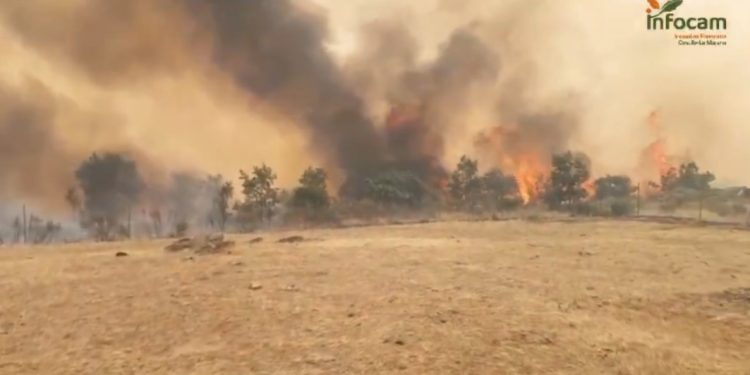 Ujados, La Miñosa, Albendiego y Cañamares, confinados por el incendio de La Mierla que ya arrasa 16.000 hectáreas Ujados, La Miñosa, Albendiego y Cañamares, confinados por el incendio de La Mierla que ya arrasa 16.000 hectáreas