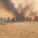 Ujados, La Miñosa, Albendiego y Cañamares, confinados por el incendio de La Mierla que ya arrasa 16.000 hectáreas