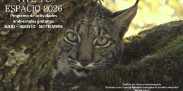 Vuelven las rutas y observaciones astronómicas gratuitas a los parques naturales de Cuenca y Guadalajara