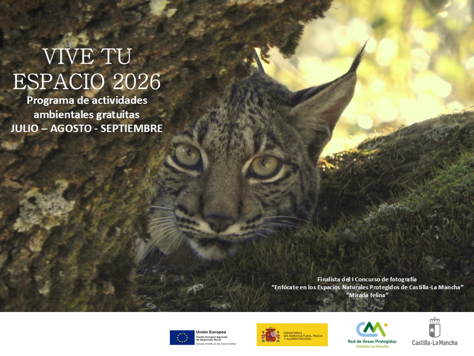 Vuelven las rutas y observaciones astronómicas gratuitas a los parques naturales de Cuenca y Guadalajara 2 Vuelven las rutas y observaciones astronómicas gratuitas a los parques naturales de Cuenca y Guadalajara