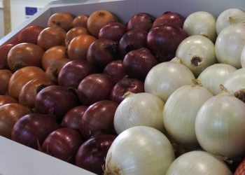 Castilla-La Mancha destina 720.000 euros a mercados locales y canales cortos de comercialización agrícola en Cuenca y Guadalajara