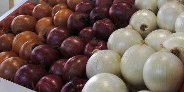 Castilla-La Mancha destina 720.000 euros a mercados locales y canales cortos de comercialización agrícola en Cuenca y Guadalajara