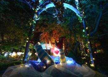La Alameda de Sigüenza se adentra en el País de las Maravillas con ‘El Bosque Mágico’