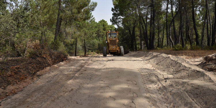 Cuenca recibirá más de 2,6 millones de la Junta para la red de caminos rurales Cuenca recibirá más de 2,6 millones de la Junta para la red de caminos rurales