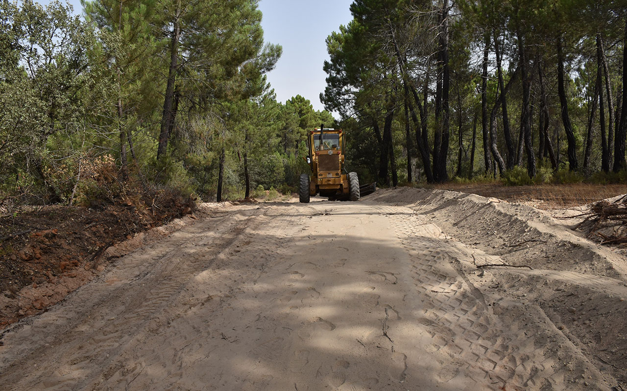 Cuenca recibirá más de 2,6 millones de la Junta para la red de caminos rurales Cuenca recibirá más de 2,6 millones de la Junta para la red de caminos rurales