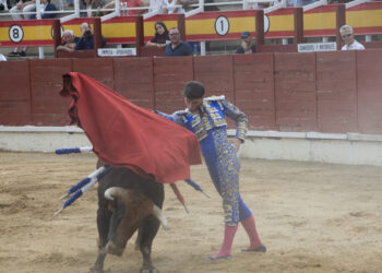 Daniel Moset corta cuatro orejas en la novillada de San Roque en Sigüenza