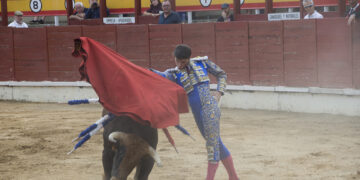 Daniel Moset corta cuatro orejas en la novillada de San Roque en Sigüenza