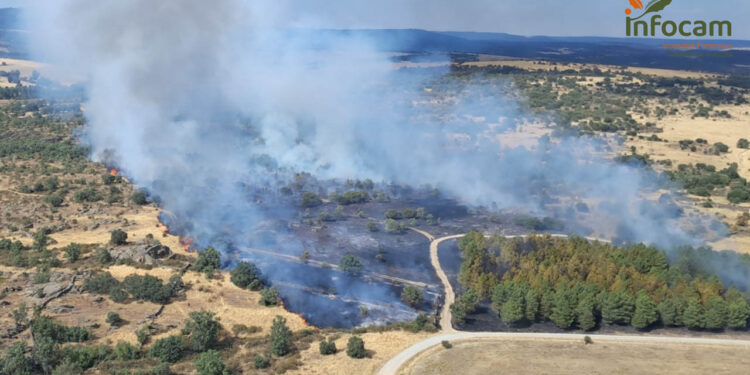 El incendio de Riofrío del Llano baja a Nivel 0 mientras 59 efectivos continúan trabajando en su extinción El incendio de Riofrío del Llano baja a Nivel 0 mientras 59 efectivos continúan trabajando en su extinción
