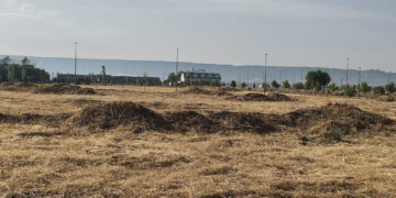 El Ayuntamiento de Azuqueca desbroza parcelas privadas para reducir el riesgo de incendios