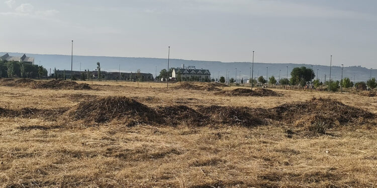 El Ayuntamiento de Azuqueca desbroza parcelas privadas para reducir el riesgo de incendios El Ayuntamiento de Azuqueca desbroza parcelas privadas para reducir el riesgo de incendios