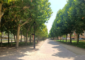 El Ayuntamiento de Molina renovará infraestructuras y creará una zona infantil en el parque de la Alameda con el FIM de Diputación 2026