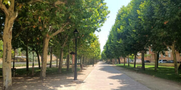El Ayuntamiento de Molina renovará infraestructuras y creará una zona infantil en el parque de la Alameda con el FIM de Diputación 2026