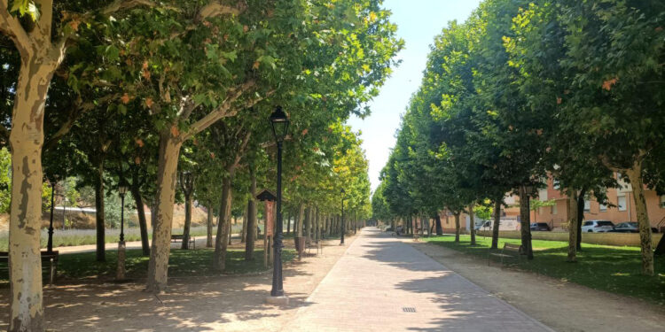 El Ayuntamiento de Molina renovará infraestructuras y creará una zona infantil en el parque de la Alameda con el FIM de Diputación 2026
