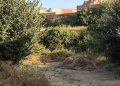 El PP de Villarta exige a la Confederación Hidrográfica del Júcar la limpieza y el mantenimiento de los cauces
