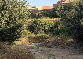 El PP de Villarta exige a la Confederación Hidrográfica del Júcar la limpieza y el mantenimiento de los cauces