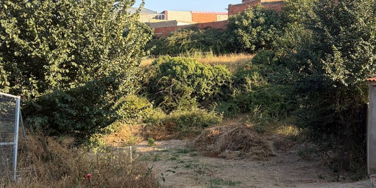 El PP de Villarta exige a la Confederación Hidrográfica del Júcar la limpieza y el mantenimiento de los cauces