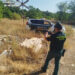 El SEPRONA desmantela una red que arrojaba uralita con amianto en olivares conquenses