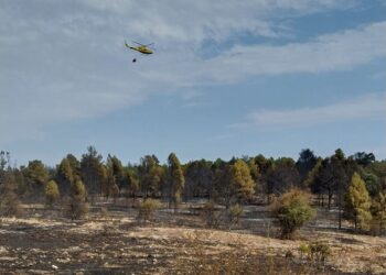 El incendio de El Recuenco queda estabilizado tras calcinar unas 80 hectáreas