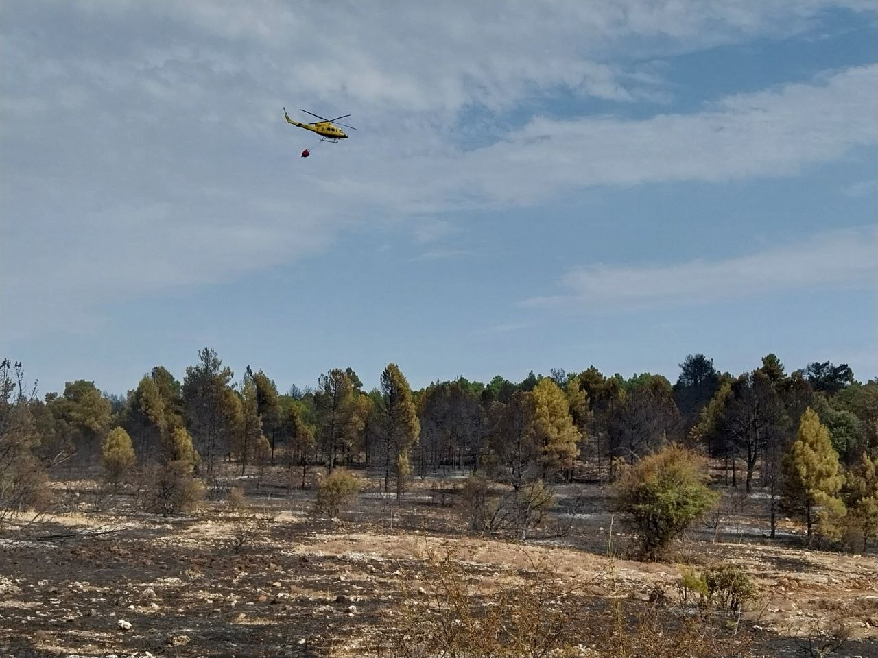 El incendio de El Recuenco queda estabilizado tras calcinar unas 80 hectáreas El incendio de El Recuenco queda estabilizado tras calcinar unas 80 hectáreas