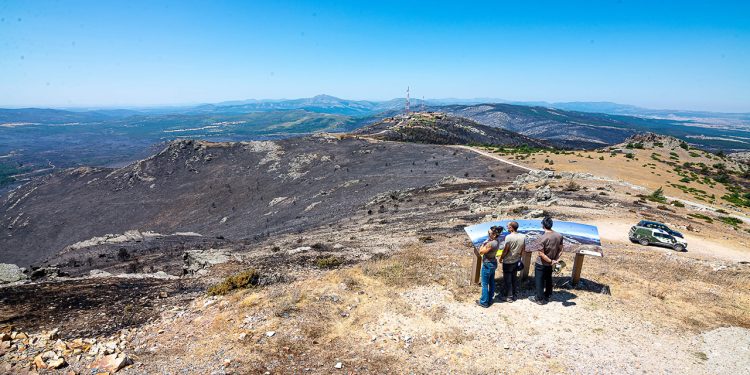 El incendio de La Mierla pasa a nivel 0: arranca la protección del agua tras arder 32.000 hectáreas El incendio de La Mierla pasa a nivel 0: arranca la protección del agua tras arder 32.000 hectáreas