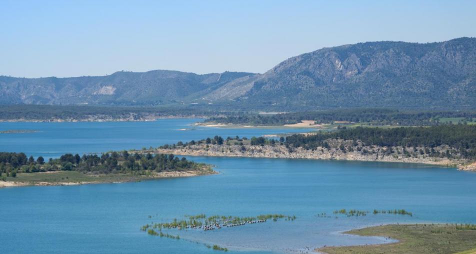Fallece un pescador en Buendía tras ser arrollado por su propio vehículo en la orilla del embalse Fallece un pescador en Buendía tras ser arrollado por su propio vehículo en la orilla del embalse