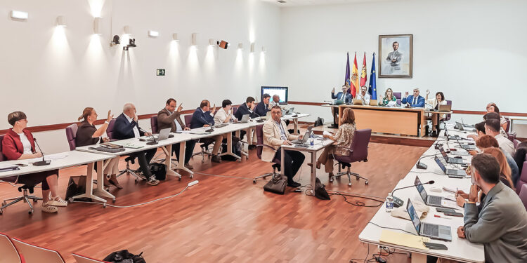 Guadalajara aprueba de forma definitiva la conversión de locales comerciales vacíos en viviendas