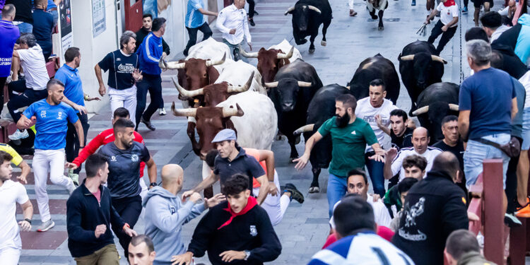Guadalajara blinda sus encierros y la plaza de toros con diez desfibriladores de acceso rápido Guadalajara blinda sus encierros y la plaza de toros con diez desfibriladores de acceso rápido
