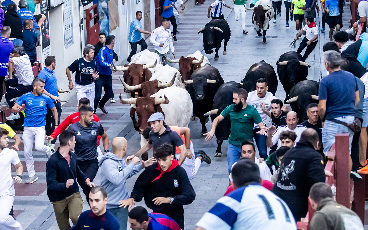 Guadalajara blinda sus encierros y la plaza de toros con diez desfibriladores de acceso rápido Guadalajara blinda sus encierros y la plaza de toros con diez desfibriladores de acceso rápido