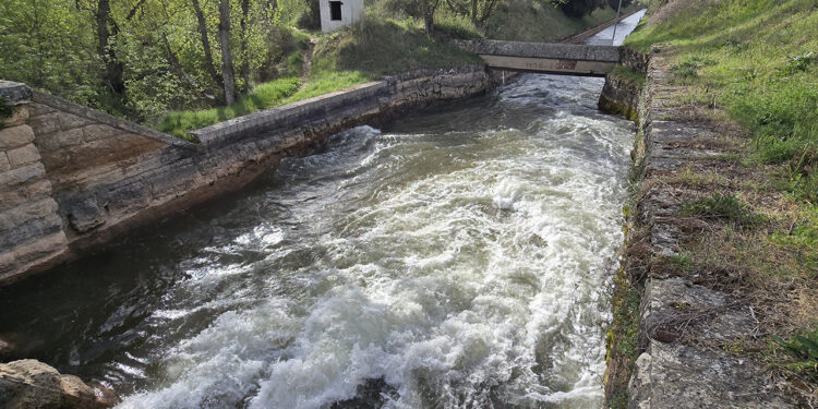 La Comunidad de Regantes del Canal del Henares celebra un siglo de historia La Comunidad de Regantes del Canal del Henares celebra un siglo de historia