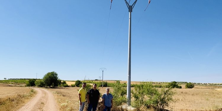 La Junta modifica más de 6.000 postes eléctricos en Cuenca para frenar la mortalidad de aves rapaces La Junta modifica más de 6.000 postes eléctricos en Cuenca para frenar la mortalidad de aves rapaces