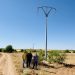 La Junta modifica más de 6.000 postes eléctricos en Cuenca para frenar la mortalidad de aves rapaces