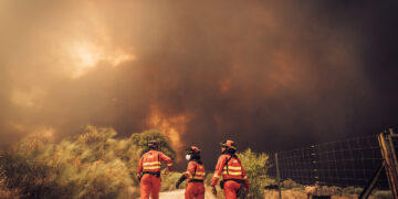 Los ingenieros agrónomos preparan medidas de apoyo para los afectados por los incendios