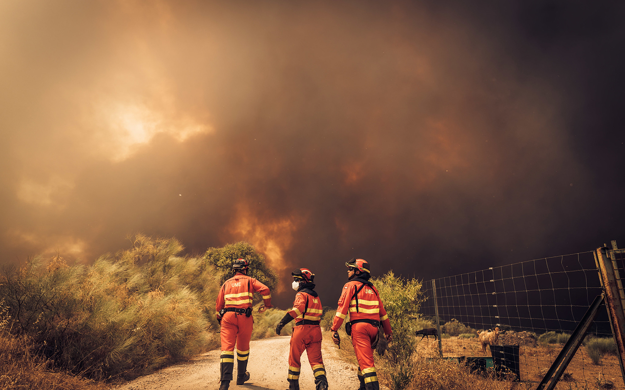 Los ingenieros agrónomos preparan medidas de apoyo para los afectados por los incendios Los ingenieros agrónomos preparan medidas de apoyo para los afectados por los incendios