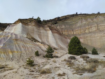 La restauración minera impulsada en Castilla-La Mancha obtiene reconocimiento internacional con la inclusión del proyecto Life Ribermine en el Atlas of Post-Mining Futures La restauración minera impulsada en Castilla-La Mancha obtiene reconocimiento internacional con la inclusión del proyecto Life Ribermine en el Atlas of Post-Mining Futures