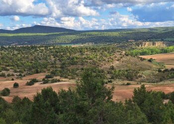 Piden a la Junta un plan integral de protección para Molina, Alto Tajo y Sierra Norte