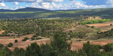 Piden a la Junta un plan integral de protección para Molina, Alto Tajo y Sierra Norte
