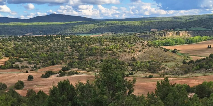 Piden a la Junta un plan integral de protección para Molina, Alto Tajo y Sierra Norte Piden a la Junta un plan integral de protección para Molina, Alto Tajo y Sierra Norte