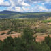 Piden a la Junta un plan integral de protección para Molina, Alto Tajo y Sierra Norte Piden a la Junta un plan integral de protección para Molina, Alto Tajo y Sierra Norte