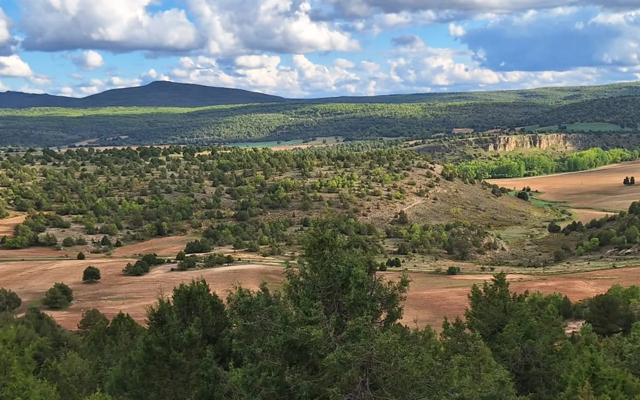 Piden a la Junta un plan integral de protección para Molina, Alto Tajo y Sierra Norte Piden a la Junta un plan integral de protección para Molina, Alto Tajo y Sierra Norte
