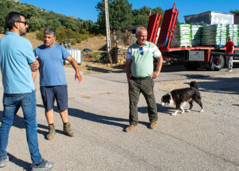 Rescate ganadero en la Sierra Norte y Selas: 80 toneladas de alimento para salvar a más de 5.000 animales