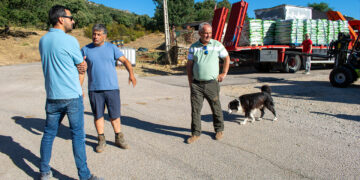 Rescate ganadero en la Sierra Norte y Selas: 80 toneladas de alimento para salvar a más de 5.000 animales