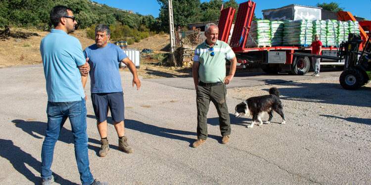 Rescate ganadero en la Sierra Norte y Selas: 80 toneladas de alimento para salvar a más de 5.000 animales